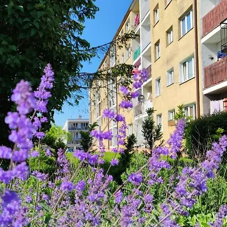 Apartament Sunwave Wladyslawowo Exterior photo