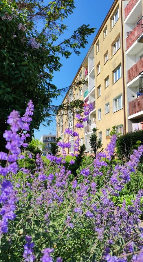 Apartment Sunwave